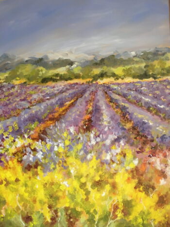 Lavandes et genêts - Provence - Huile sur toile - 73 x 100 cm